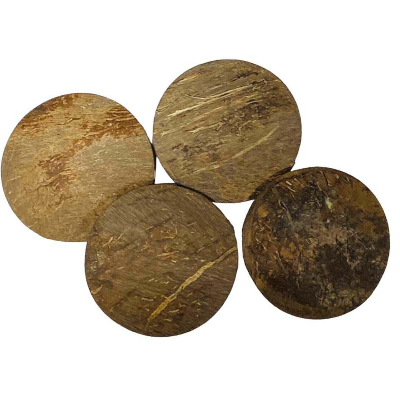 Dried Coconut Shell Set (Obí Agbón/Nzandi/Chamalongos)