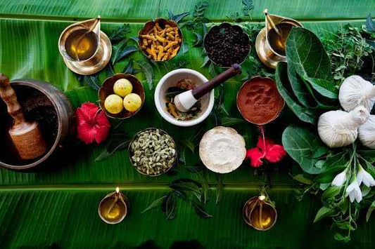 Holistic Wellness (Ayurveda) Consultation | Follow Up Appt