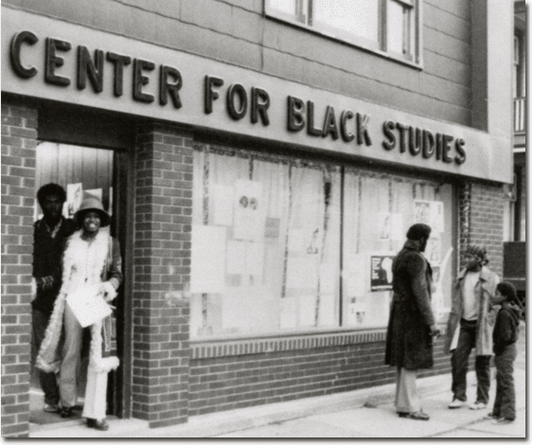 Black Studies Book Equity Fund