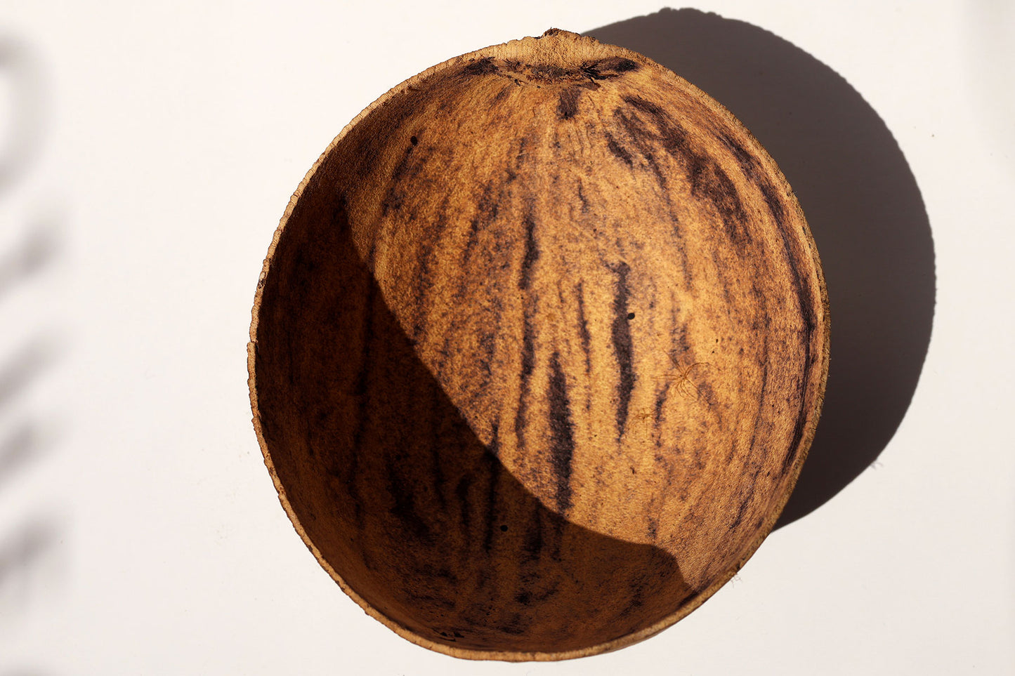 Gourd Bowl (Igba/Calabash/Jicara)