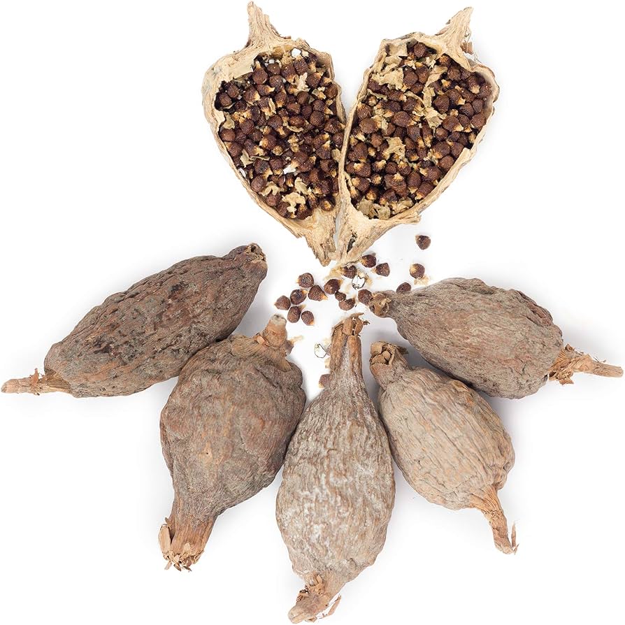 Aframomum melegueta Pepper (Atare/Alligator Pepper/Guinea Pepper/Grains of Paradise)