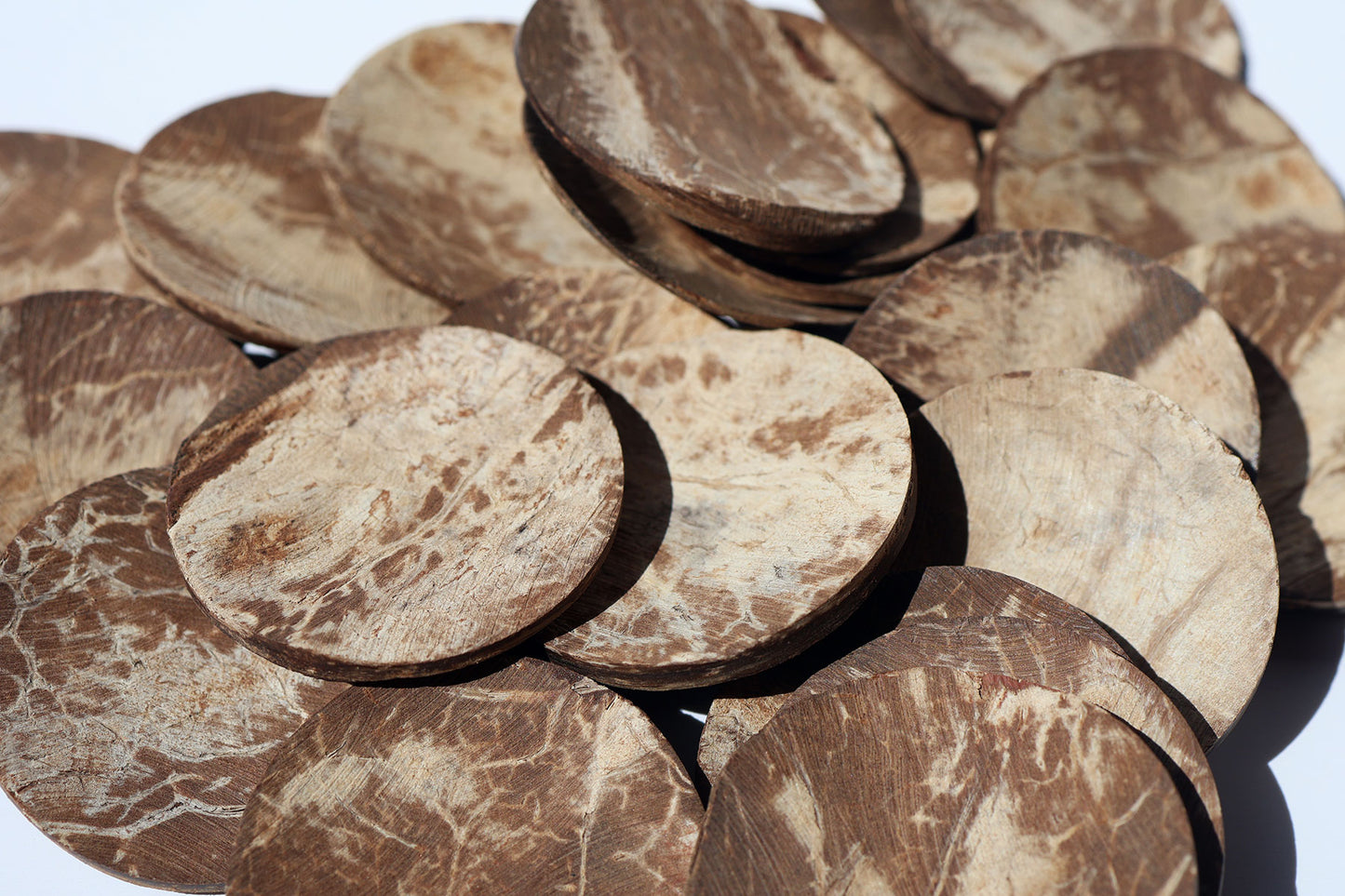 Dried Coconut Shell Set (Obí Agbón/Nzandi/Chamalongos)