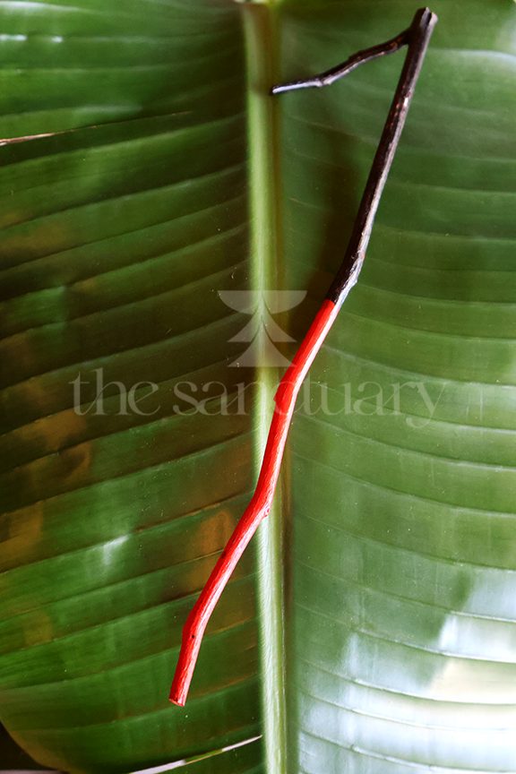 Èṣù-Ẹlẹ́gbára/ElegguaStaff (Ọ̀pá/Garabato)