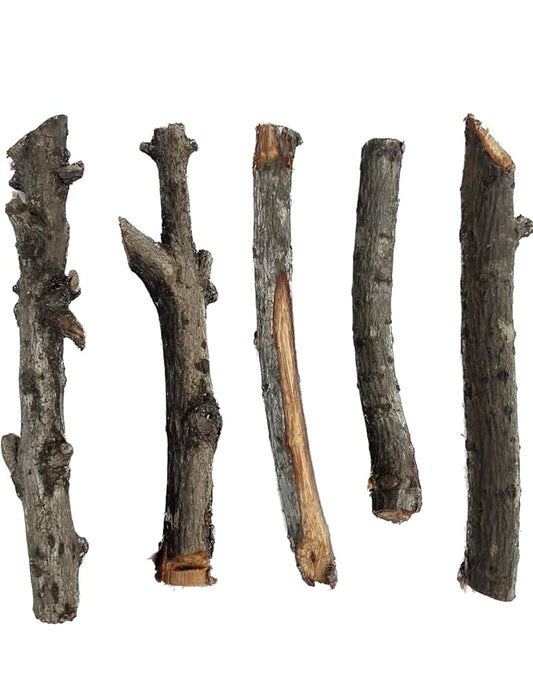 Justicia pectoralis Jacq. Stick (Palo Justicia)