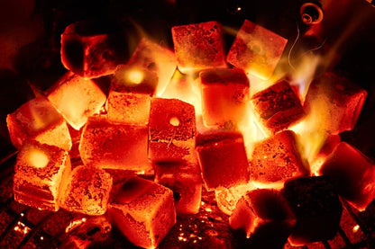 Coconut Charcoal Briquettes (6-Pack)