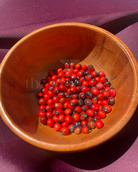 Abrus Precatorius Seeds (Iwerenjeje/Oju Ologbo/Peonia/Huaryruro)