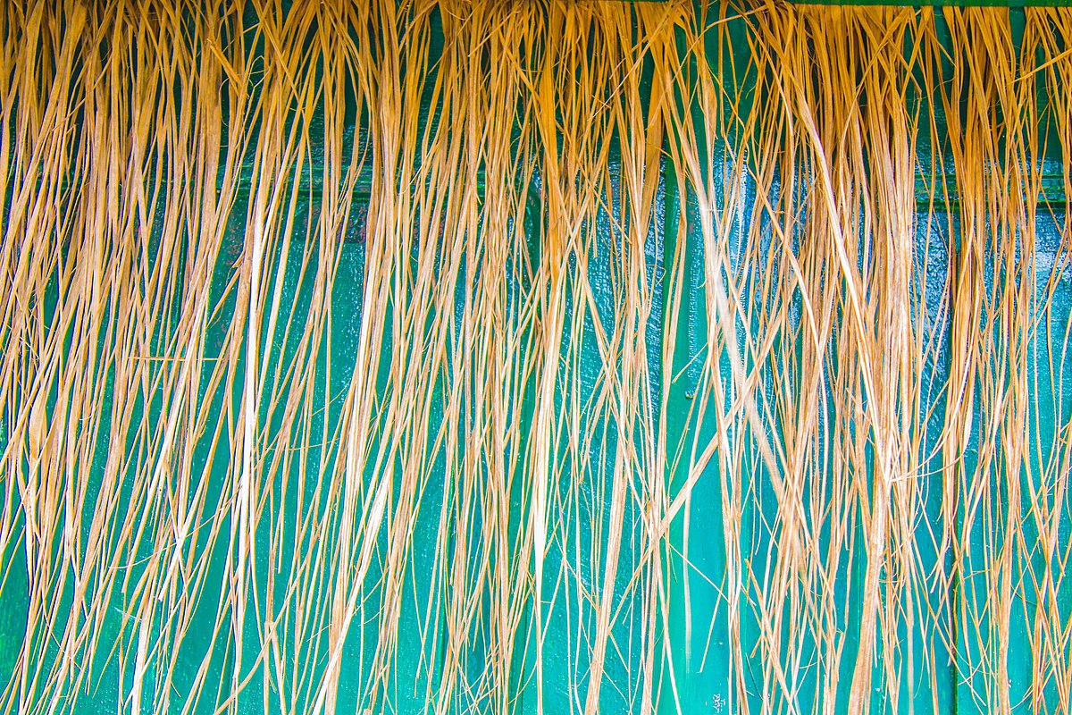 Palm Frond Hanging (Màrìwò Ọ̀pẹ/Mariwo)