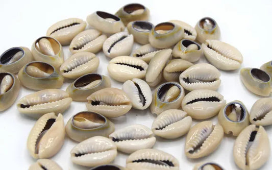 Cowrie Shell Set (Owó Mẹ́rìndínlógún)