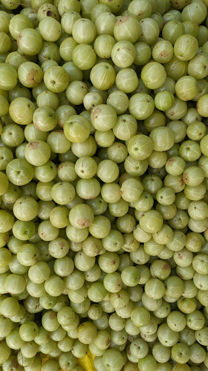 Amla Berry (Powdered)